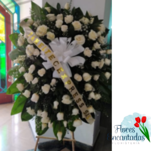 Hasta La Eternidad Pedestal