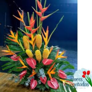 Arreglo con Anturios Rojos, girasoles, heliconias