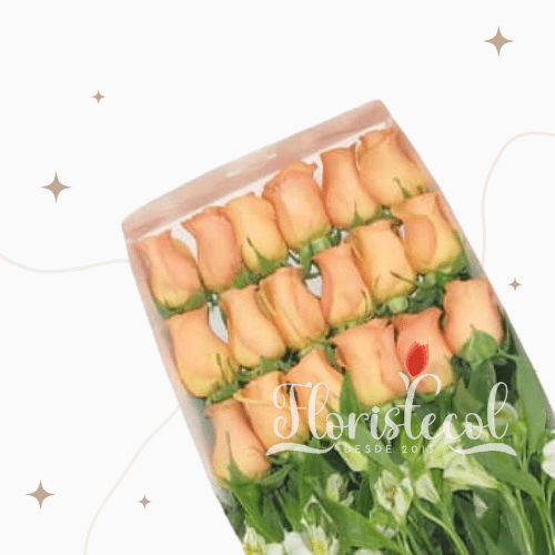 caja con 18 rosas salmon