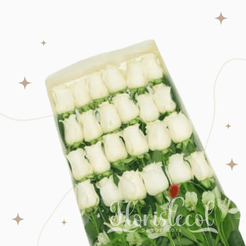 caja de 24 rosas blancas