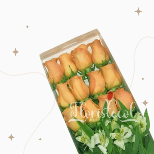 Caja con 12 Rosas Salmón