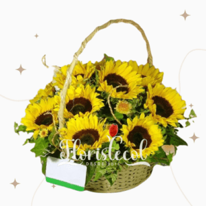 Canasta con 12 girasoles