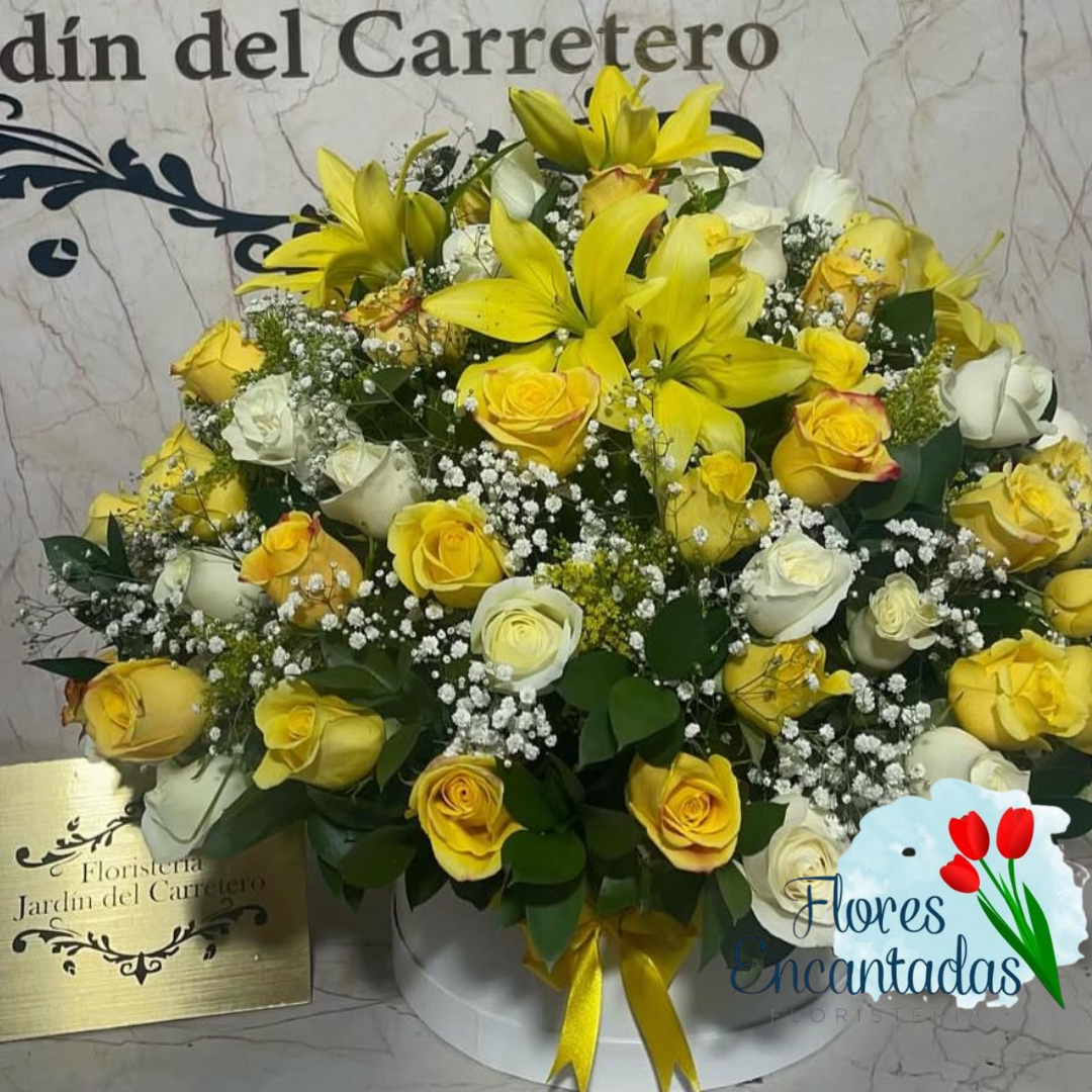 Rosas amarillas caja de base 24