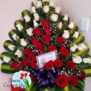 Triangulo Funebre Rojo